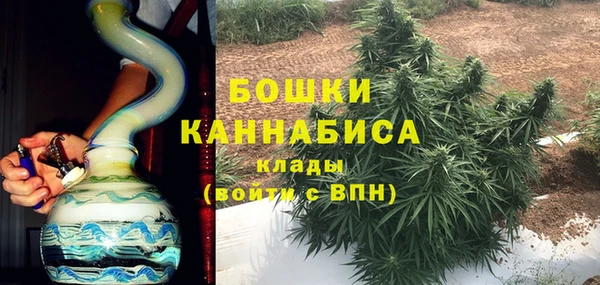 мдпв Верея