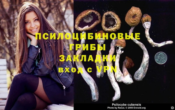МДПВ Верхний Тагил