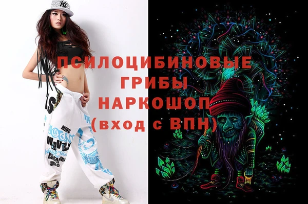 мдпв Верея