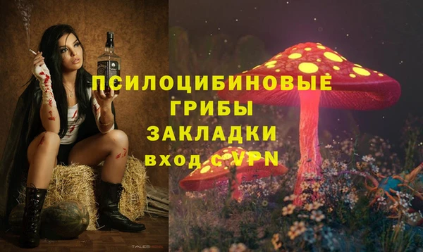 мдпв Верея