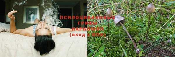 мдпв Верея
