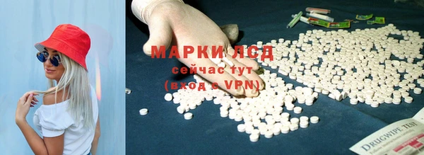 мдпв Верея